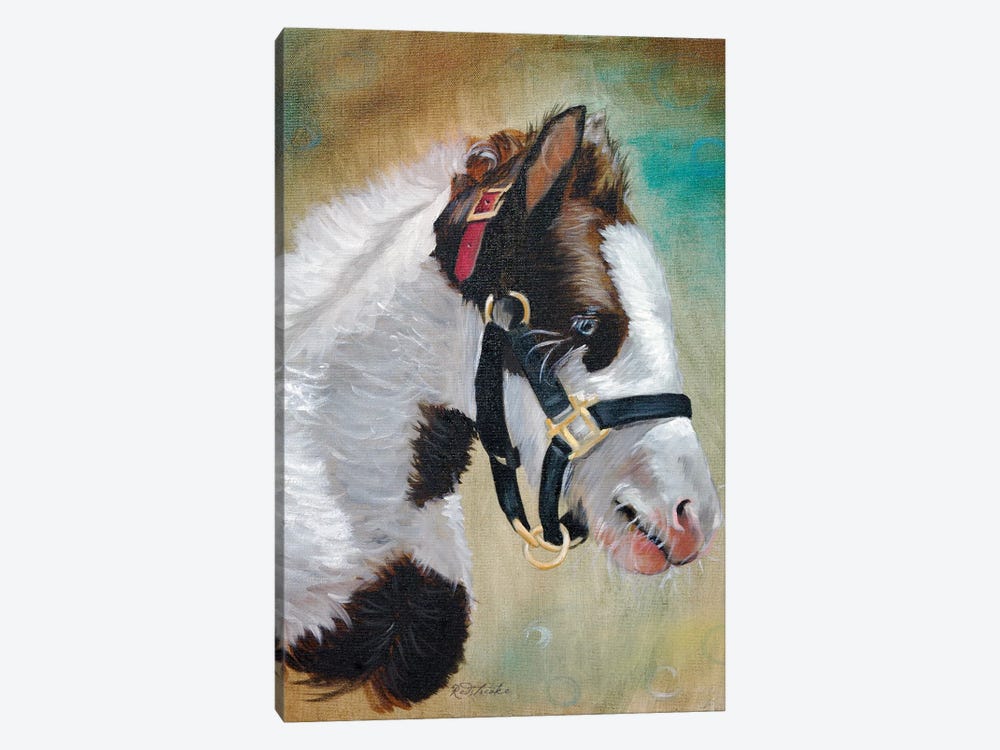 Gypsy Foal by Jennifer Redstreake 1-piece Canvas Print