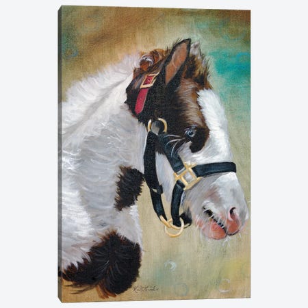 Gypsy Foal Canvas Print #JRE77} by Jennifer Redstreake Canvas Print