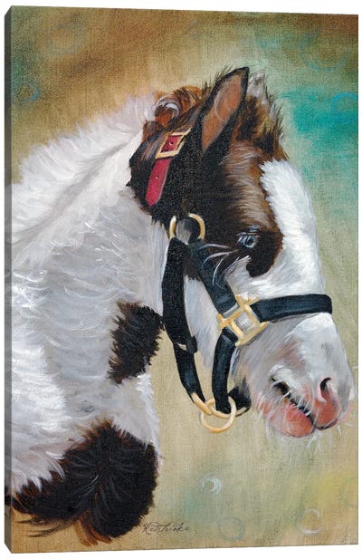 Gypsy Foal Canvas Art Print - Jennifer Redstreake