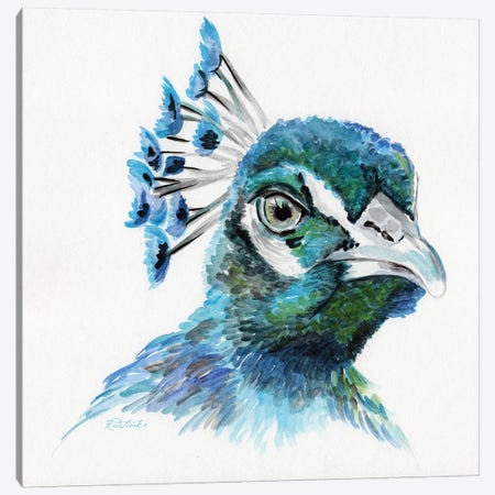 Peacock Canvas Print #JRE82} by Jennifer Redstreake Art Print