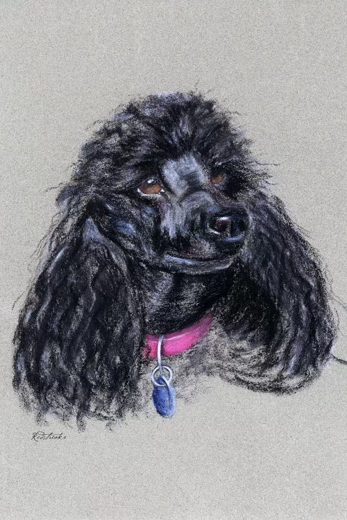 Poodle by Jennifer Redstreake wall art