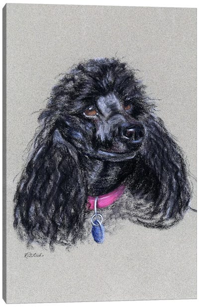 Poodle Canvas Art Print - Jennifer Redstreake