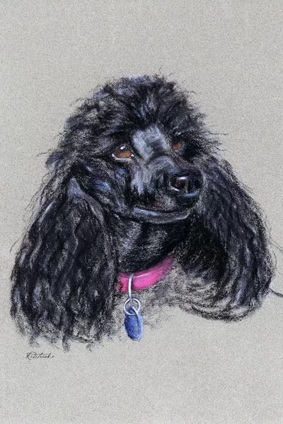 Jennifer Redstreake: Poodle by Jennifer Redstreake