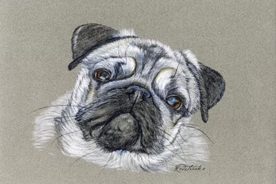 Pug by Jennifer Redstreake metal wall art
