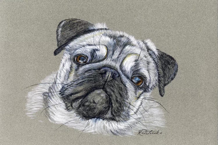 Pug by Jennifer Redstreake wall art