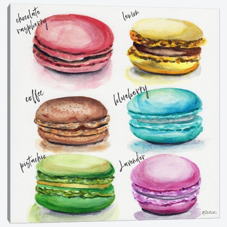 Six Macaron Flavors Canvas Print #JRE86} by Jennifer Redstreake Canvas Art