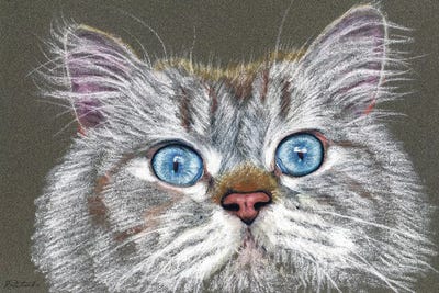 Surprised Cat by Jennifer Redstreake framed wall art