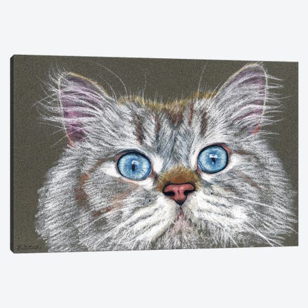 Surprised Cat Canvas Print #JRE88} by Jennifer Redstreake Canvas Art Print