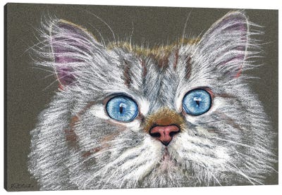 Surprised Cat Canvas Art Print - Jennifer Redstreake