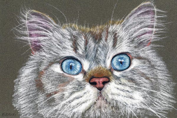 Jennifer Redstreake: Surprised Cat by Jennifer Redstreake