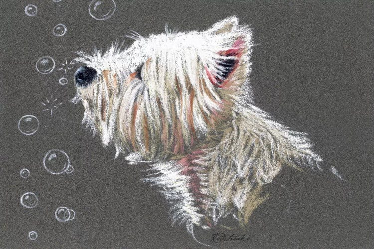 Westie Bubbles by Jennifer Redstreake wall art