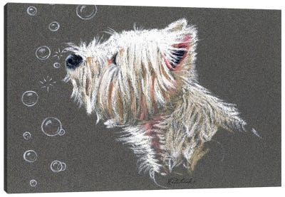 Westie Bubbles Canvas Art Print - West Highland White Terrier Art