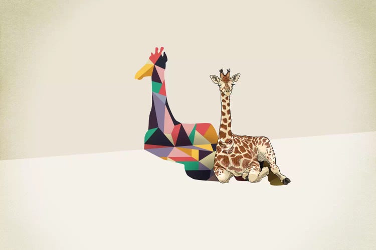 Walking Shadow Giraffe by Jason Ratliff wall art