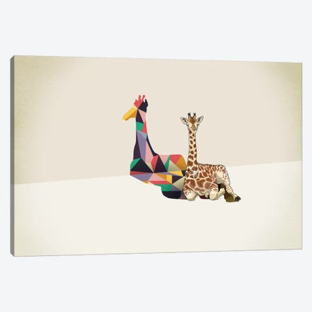 Walking Shadow Giraffe Canvas Print #JRF10} by Jason Ratliff Art Print