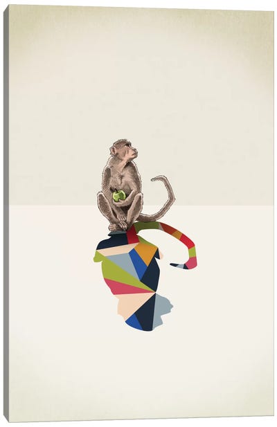 Walking Shadow Monkey Canvas Art Print - Primate Art