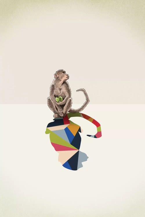 Walking Shadow Monkey by Jason Ratliff wall art