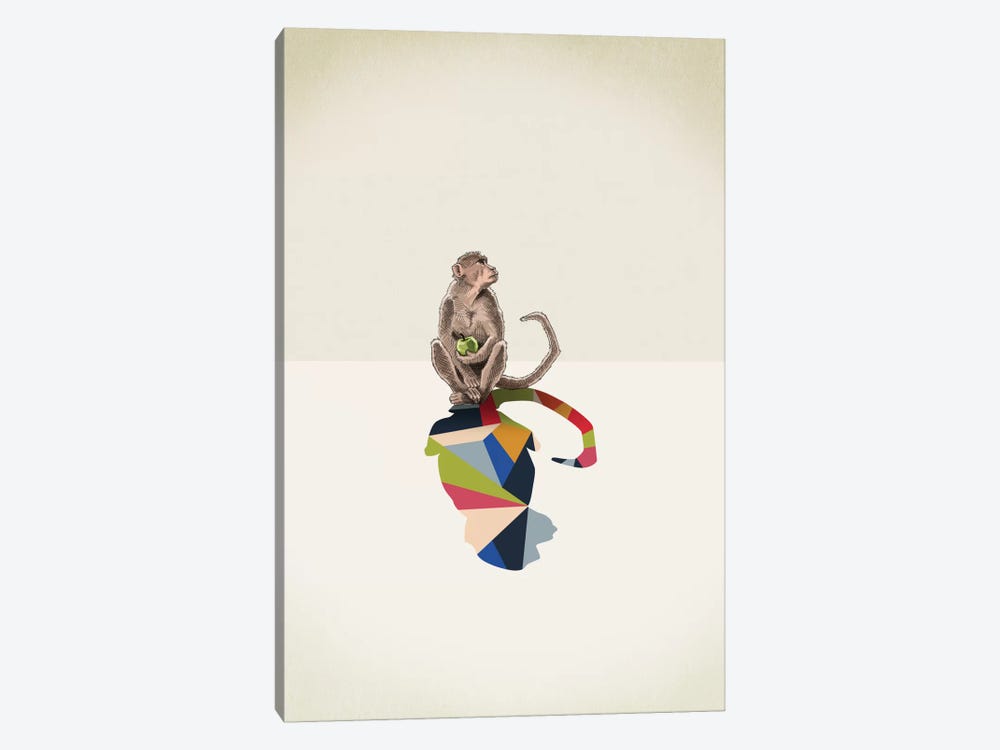 Walking Shadow Monkey by Jason Ratliff 1-piece Canvas Print