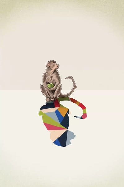 Primates: Walking Shadow Monkey by Jason Ratliff