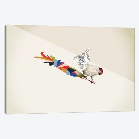 Walking Shadow Rooster Canvas Print #JRF19} by Jason Ratliff Canvas Art Print