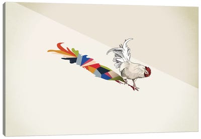 Walking Shadow Rooster Canvas Art Print