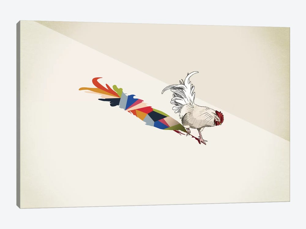 Walking Shadow Rooster by Jason Ratliff 1-piece Art Print