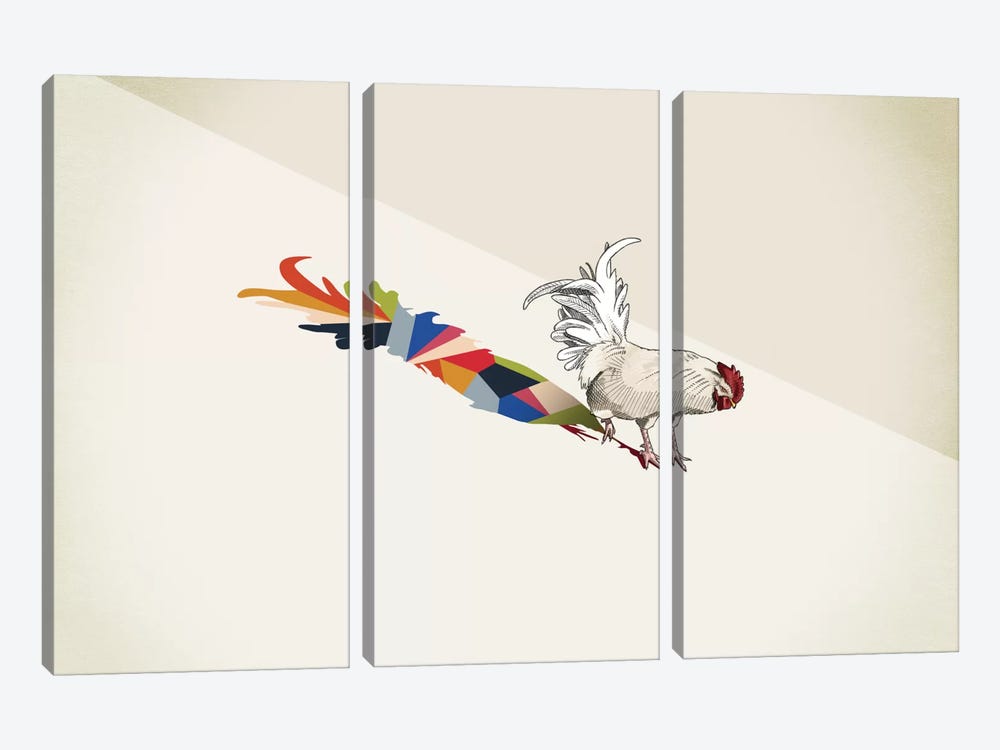 Walking Shadow Rooster by Jason Ratliff 3-piece Canvas Print