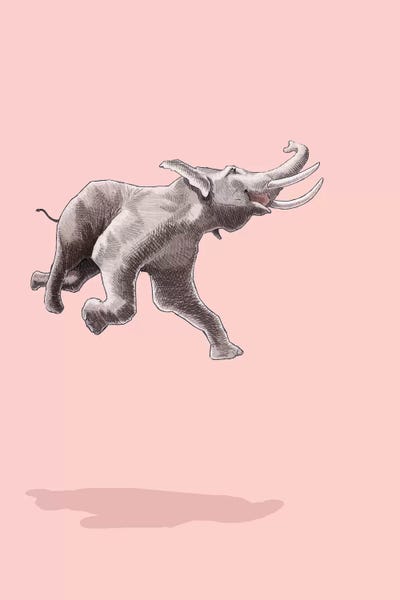 Elephants: Float Like A Bird by Jason Ratliff