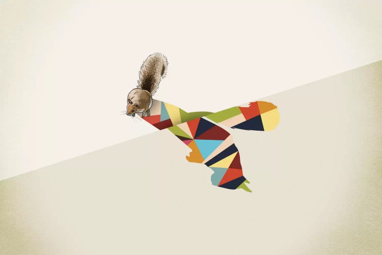 Walking Shadow Squirrel by Jason Ratliff wall art