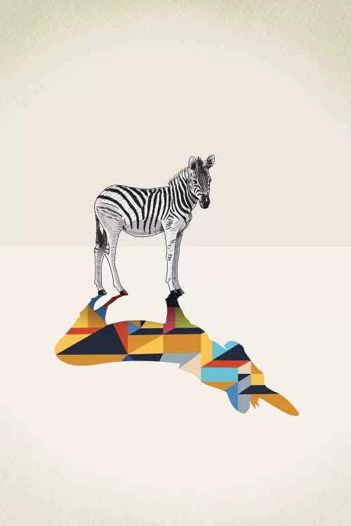 Walking Shadow Zebra by Jason Ratliff wall art