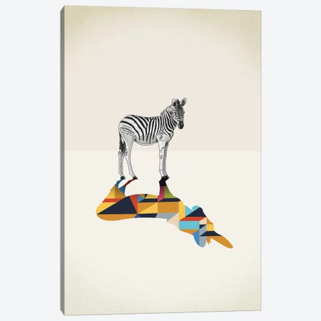 Walking Shadow Zebra Canvas Print #JRF23} by Jason Ratliff Canvas Wall Art
