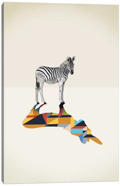 Walking Shadow Zebra Canvas Art Print - Zebra Art