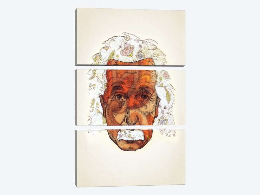 Einstein by Jason Ratliff 3-piece Canvas Art