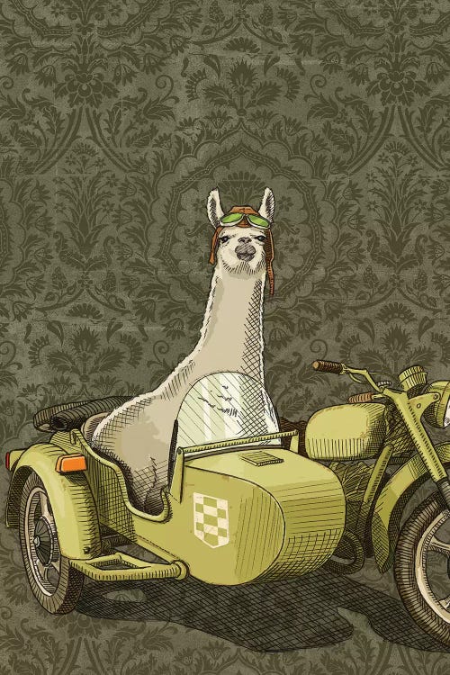 Sidecar Llama by Jason Ratliff wall art