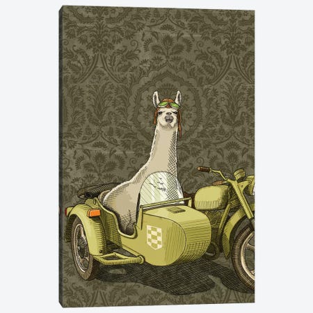Sidecar Llama Canvas Print #JRF33} by Jason Ratliff Canvas Art Print