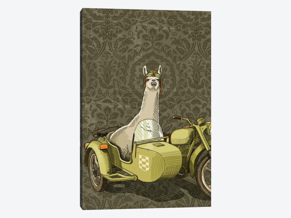 Sidecar Llama by Jason Ratliff 1-piece Art Print