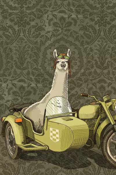 Motorcycles: Sidecar Llama by Jason Ratliff