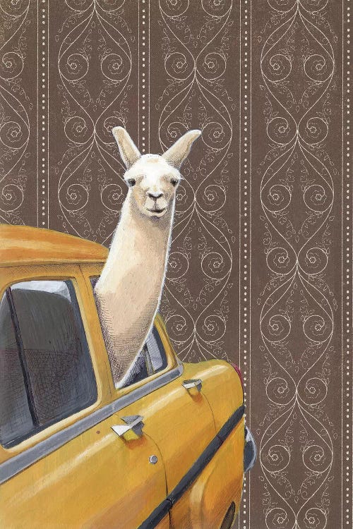 Taxin Llama by Jason Ratliff wall art