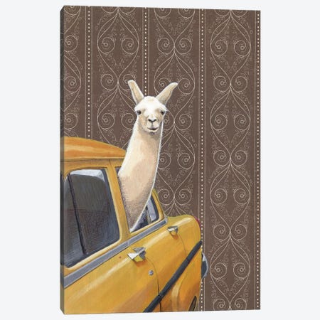 Taxin Llama Canvas Print #JRF35} by Jason Ratliff Canvas Artwork