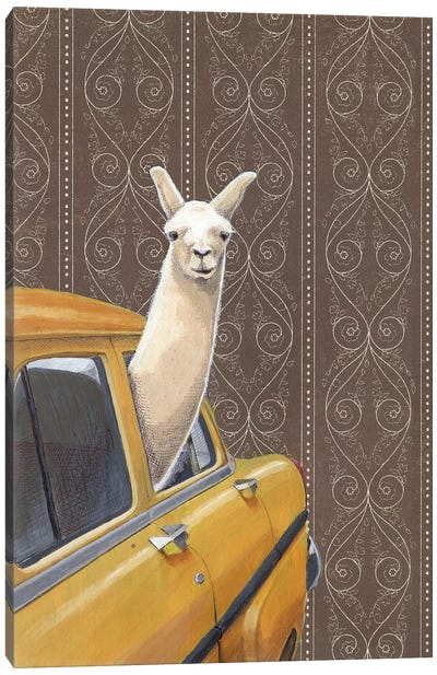 Taxin Llama Canvas Art Print - Kids Transportation Art