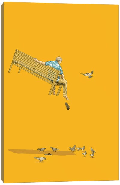 Float With The Pigeons Canvas Art Print