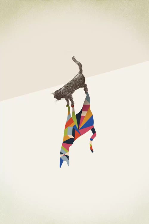 Walking Shadow Cat I by Jason Ratliff wall art