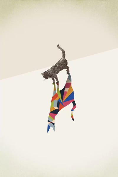 Jason Ratliff: Walking Shadow Cat I by Jason Ratliff