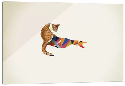 Walking Shadow Cat II Canvas Art Print - Jason Ratliff