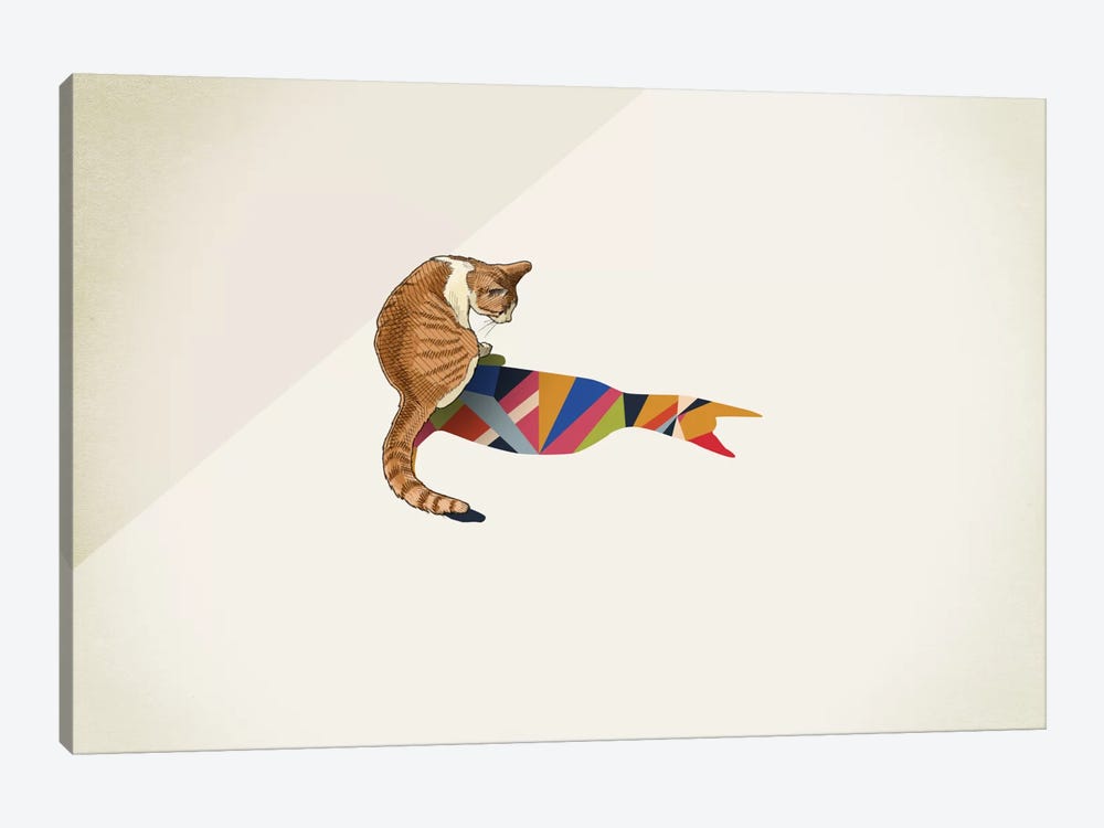 Walking Shadow Cat II by Jason Ratliff 1-piece Canvas Artwork