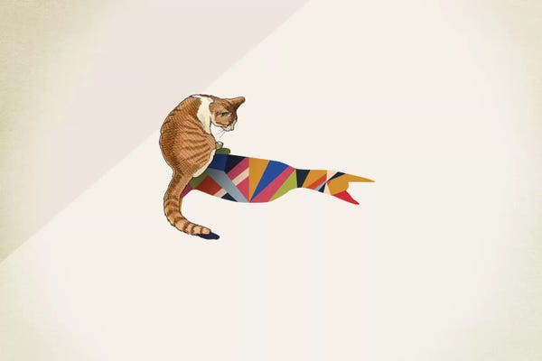 Orange Cats: Walking Shadow Cat II by Jason Ratliff