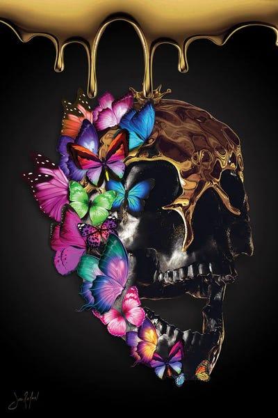 Jan Raphael: Skullfly by Jan Raphael