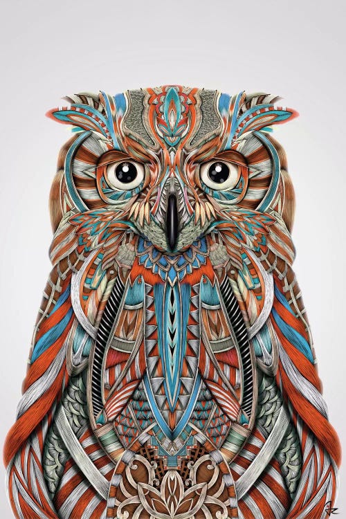 Eagle Owl by Giulio Rossi wall art