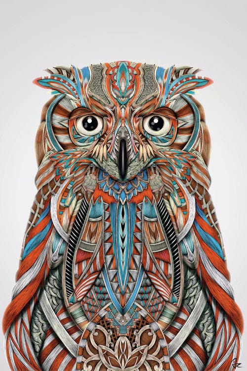 Eagle Owl by Giulio Rossi wall art