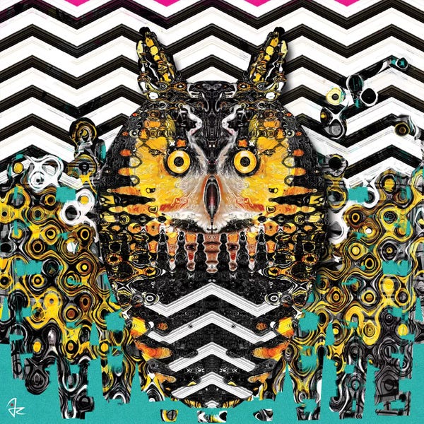 Giulio Rossi: Owl by Giulio Rossi