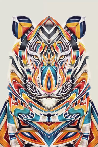 Tigers: Tygr by Giulio Rossi